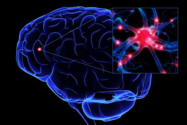 09 pesquisadores da ufrj descobrem caminho para tratar mal de alzheimer