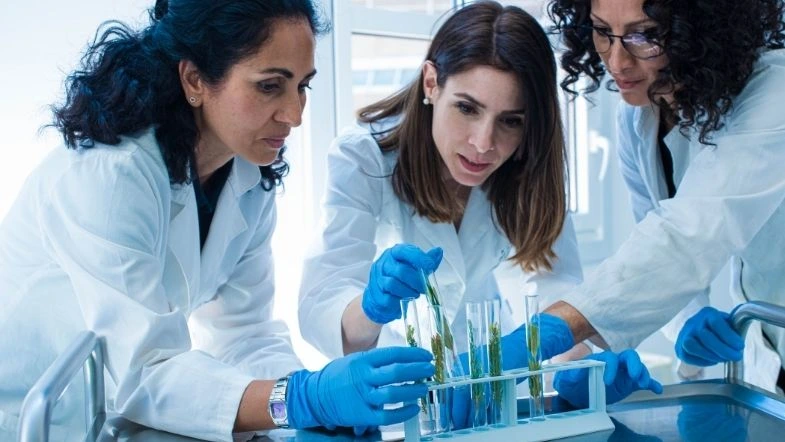 Imagem de três mulheres cientistas em um laboratório, analisando amostras em tubos de ensaio. A cena representa a crescente presença feminina na pesquisa e inovação científica, destacando a importância da equidade de gênero na ciência e na saúde.