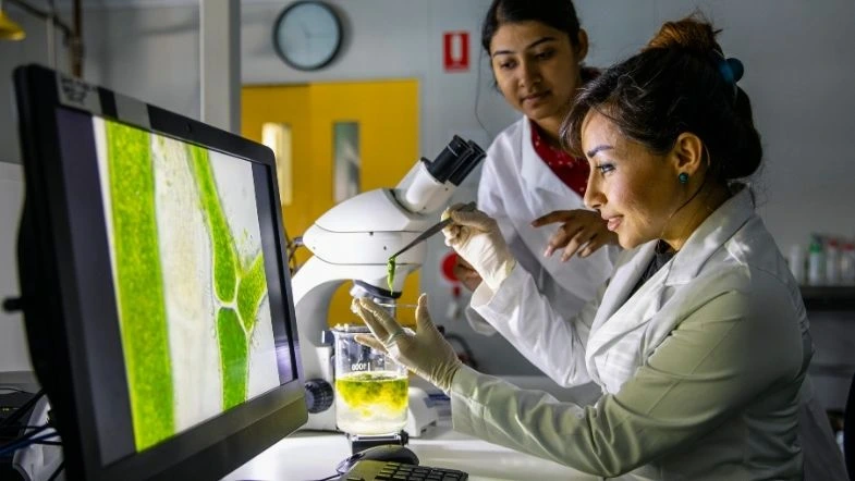 Imagem de duas cientistas em um laboratório analisando uma amostra vegetal sob um microscópio. A tela do computador exibe uma imagem ampliada da estrutura celular da planta, destacando a importância da pesquisa científica no desenvolvimento de novas tecnologias e descobertas na biotecnologia e saúde.