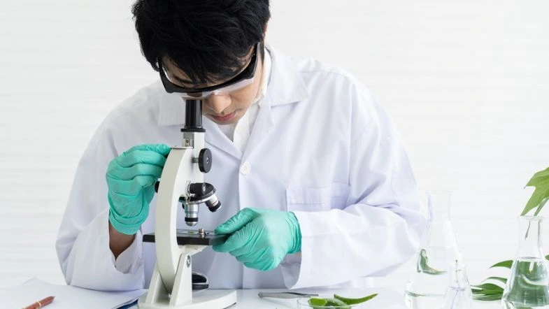 Fitoterapia e fitomedicamentos: participe do evento gratuito que vai transformar sua atuação 7 Farmacêutico em jaleco branco e luvas verdes analisando amostras vegetais em um microscópio em laboratório, com folhas e frascos de vidro ao redor, simbolizando estudos em fitoterapia e ciências naturais.